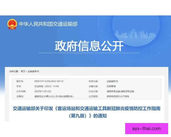 世界杯买球全攻略：技巧分析与风险防控全面指南